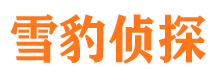 恒山市私家侦探